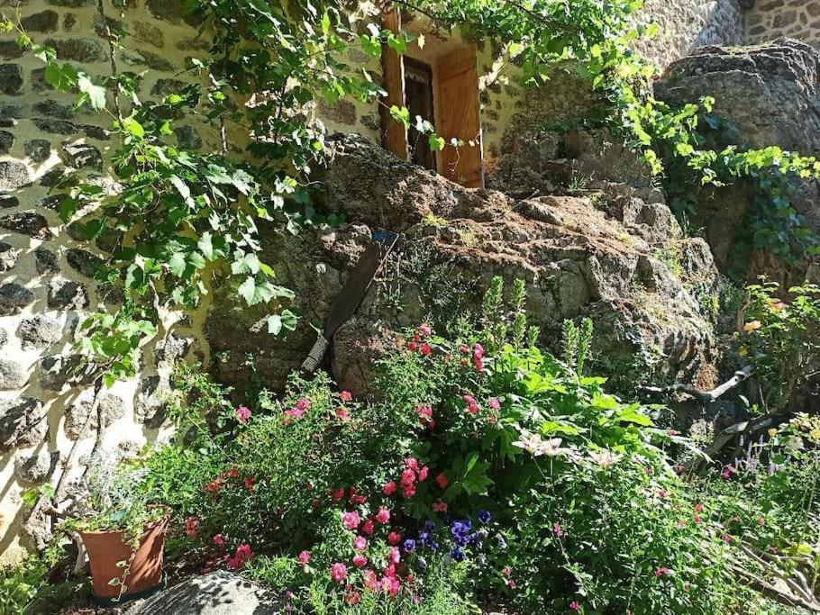 Gite Le Rocher Du Chateau De Retourtour Lamastre Eksteriør billede